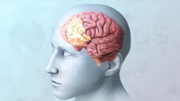 Mental Health Treatment Options