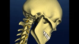 Neck Movement - Flexion and Extension