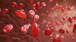 Problemas cardiovasculares y la diabetes tipo 2