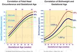 Correlation of Fetal Head Circumference and Birthweight with Gestational Age