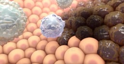 What is Immuno-oncology (Immunotherapy)? 