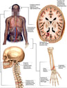 Head, neck and Arm Injuries