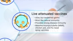 What is a Live Attenuated Vaccine?