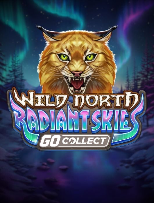 Interface de l application mobile Alexander Casino affichant les bonus