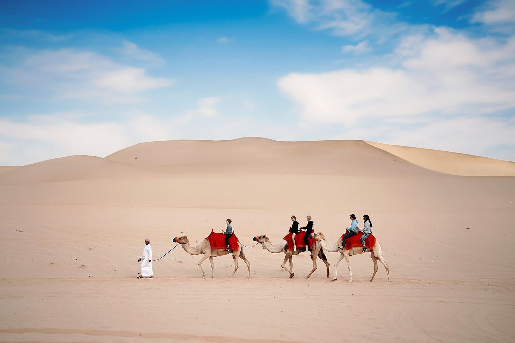 Camel Trekking in Abu Dhabi
