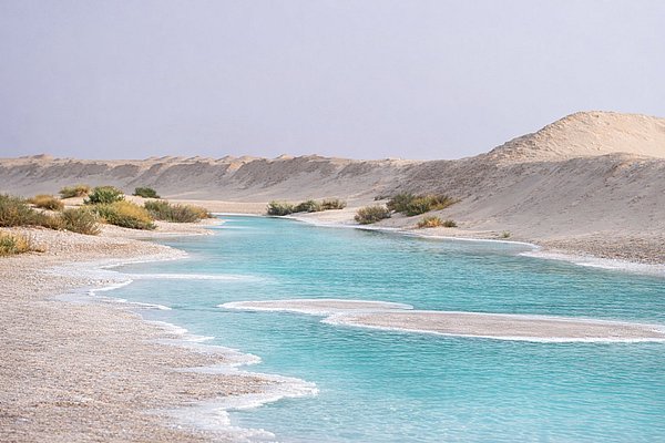 Al Quaa Safari + Al Wathba Salt Lake + Fossil Dunes Tour