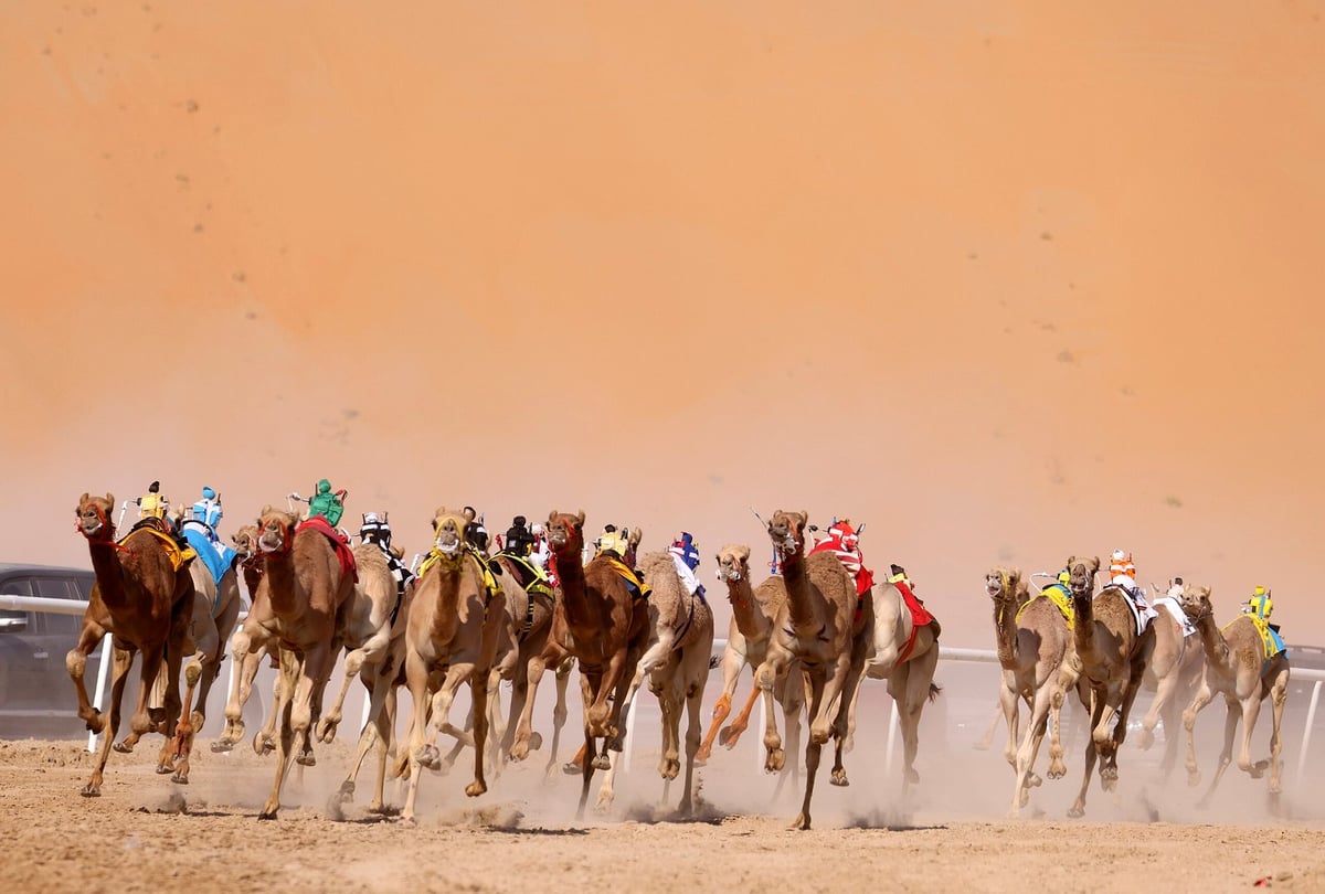 Liwa Desert International Festival