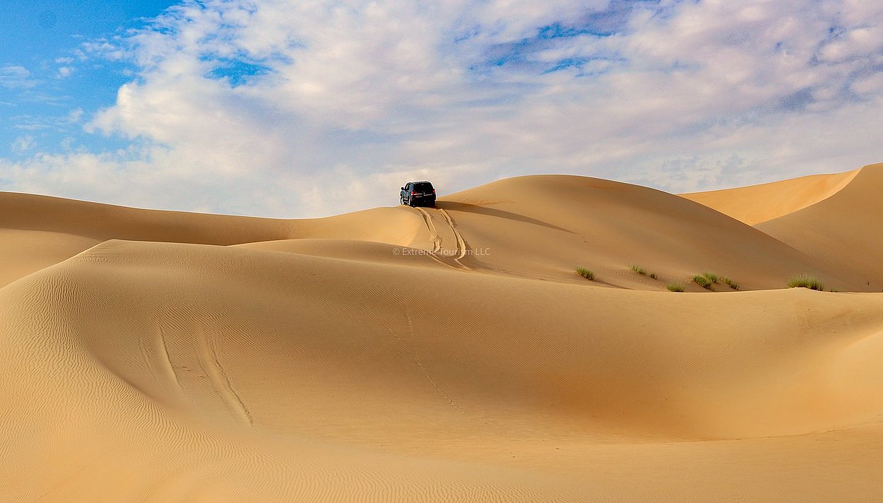 Oasis desert Liwa desert safari from Abu Dhabi