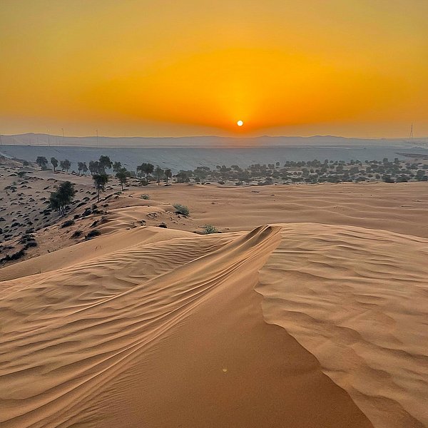 Sunrise Desert Safari Abu Dhabi