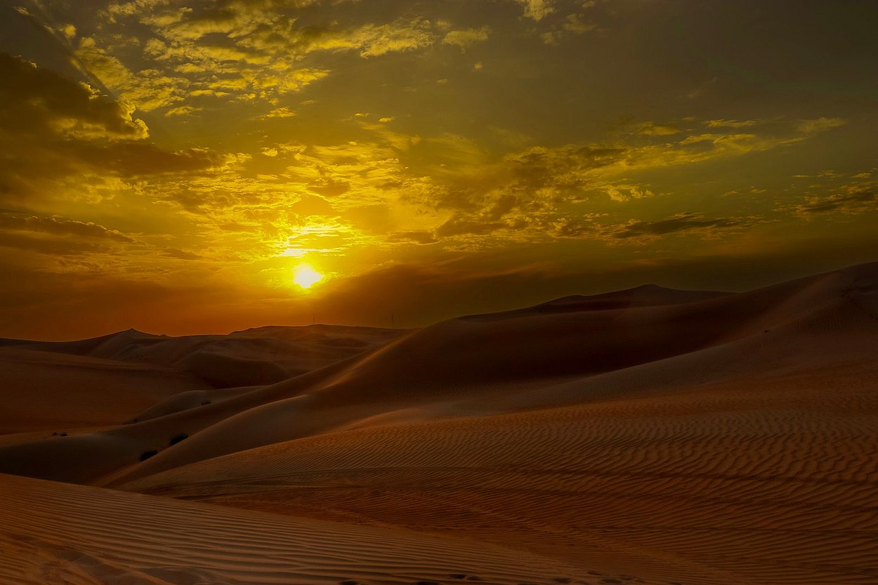 Sunrise Desert Safari Tour in Abu Dhabi