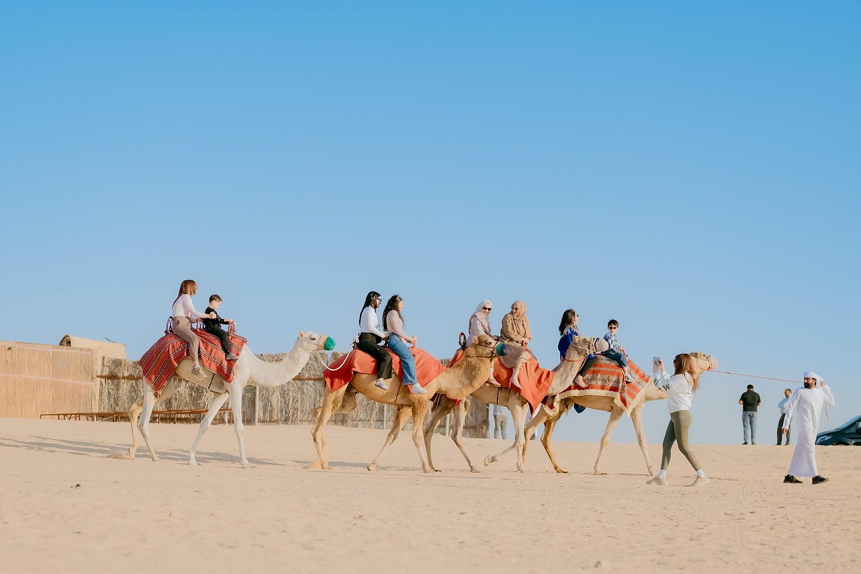 Camel Trekking in Abu Dhabi