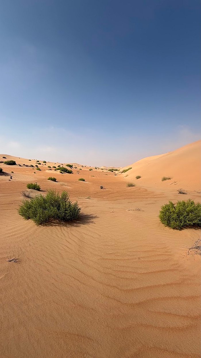 Al Quaa Milky Way guest photo shared by Wajdy Shalghin