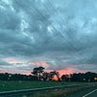 Abu Dhabi Desert Safari Google Reviews by Shauna Claire