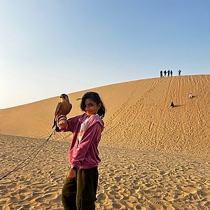 Desert Safari Abu Dhabi Google Review Images by Faisal Ahamed