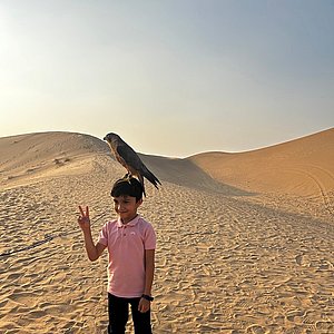 Desert Safari Abu Dhabi Google Review Images by Faisal Ahamed