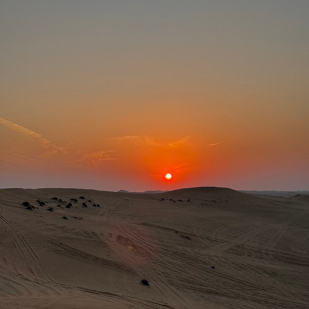 Desert Safari Abu Dhabi Google Review Images by Mikail Malik