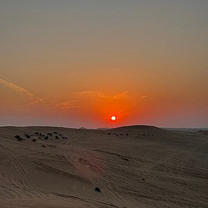 Desert Safari Abu Dhabi Google Review Images by Mikail Malik