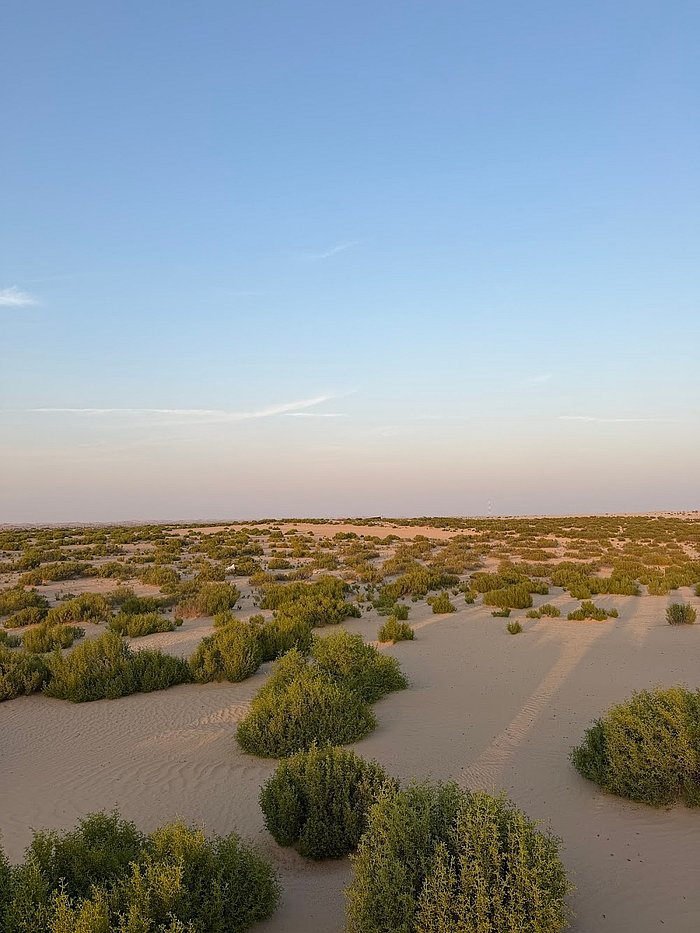Abu Dhabi Desert Safari guest photo shared by Mikail Malik