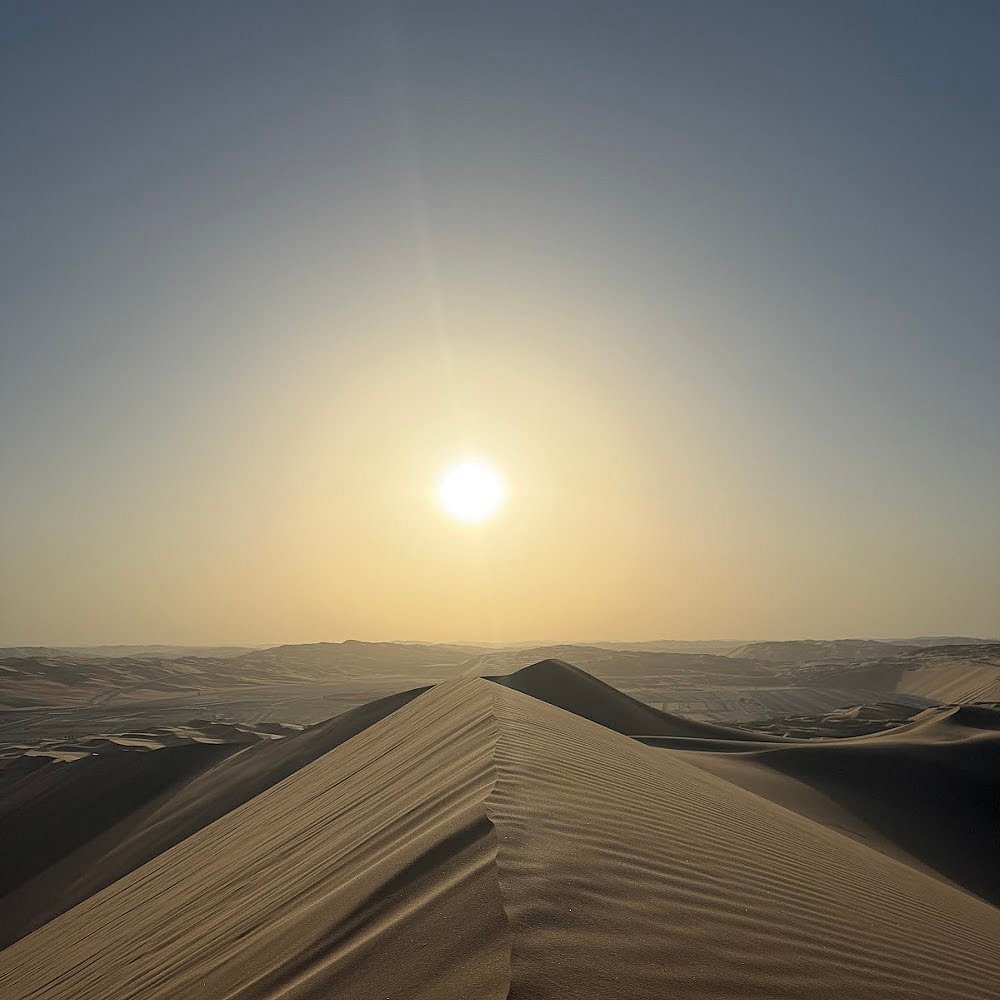 Desert Safari Abu Dhabi Google Review Images by Svetlana Demid