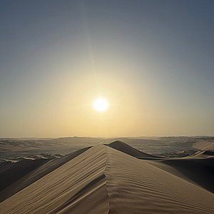Desert Safari Abu Dhabi Google Review Images by Svetlana Demid