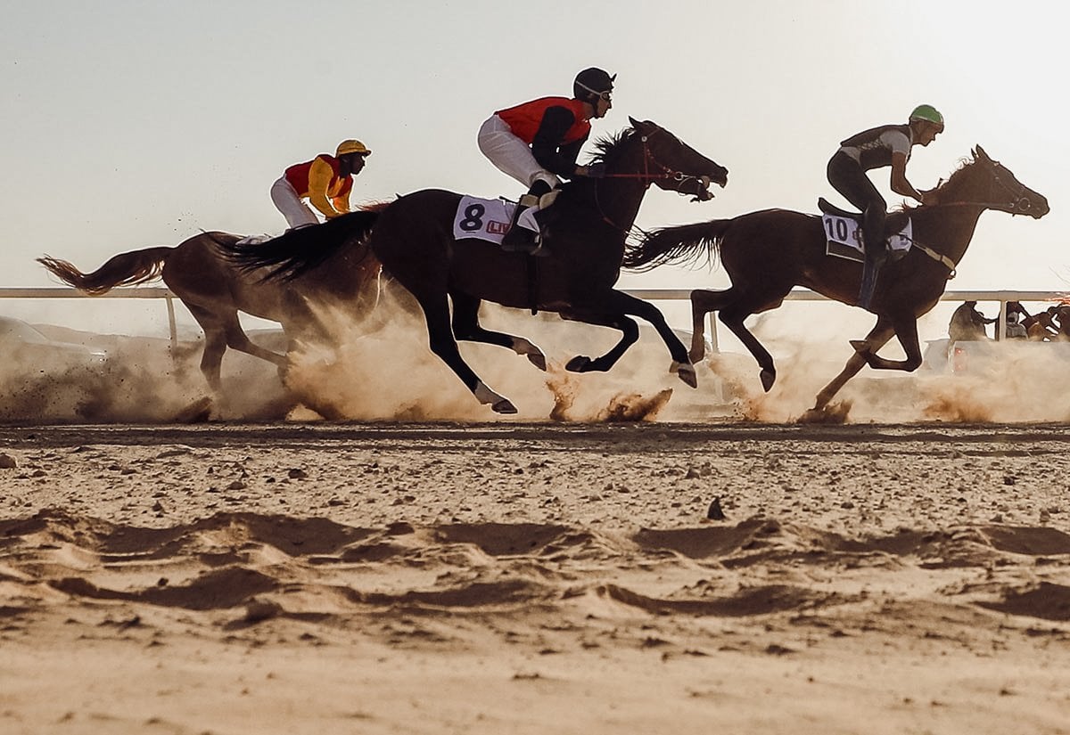 extreme tourism llc liwa festival desert safari