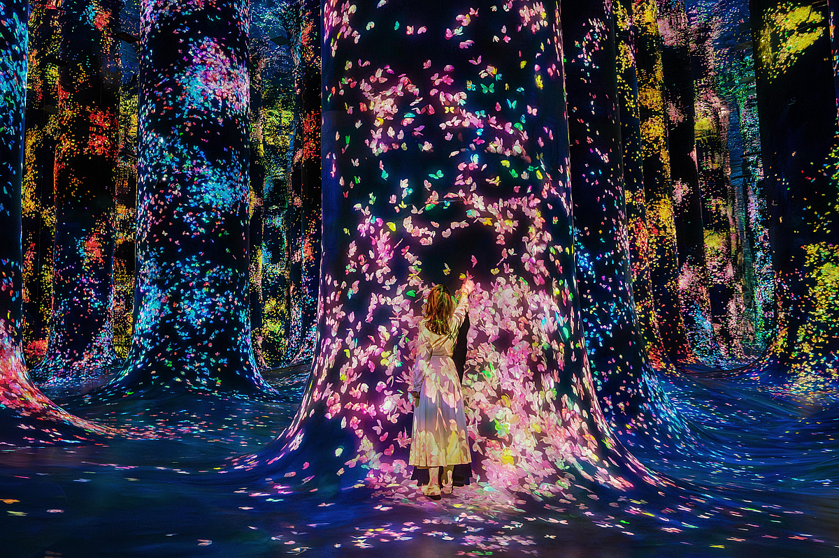 teamlab-phenomena-abu-dhabi-tickets-booking-online