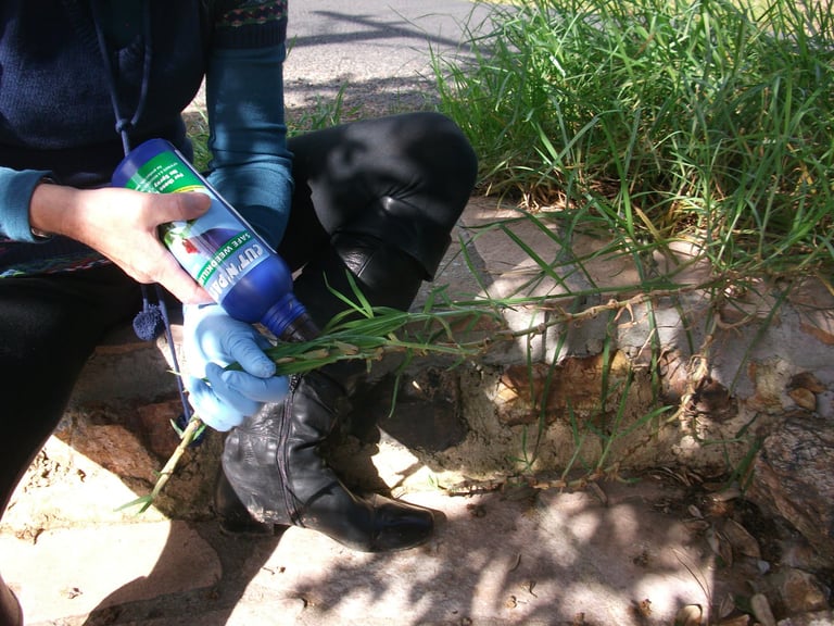 Kikuyu is killed with Cut'n'Paste