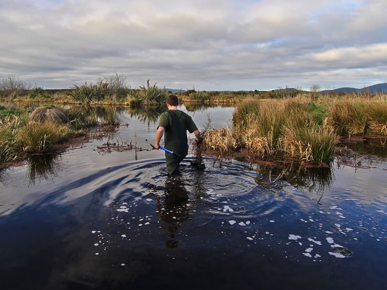 Sinclair Wetlands