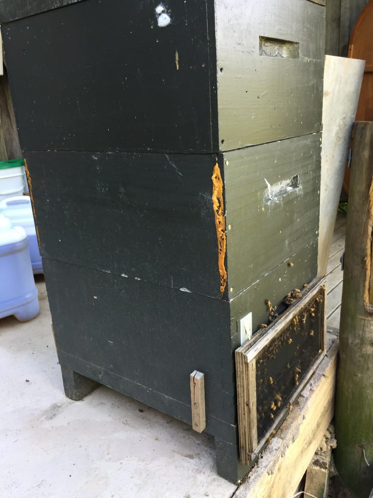 Bee Hives Cut'n'Paste
