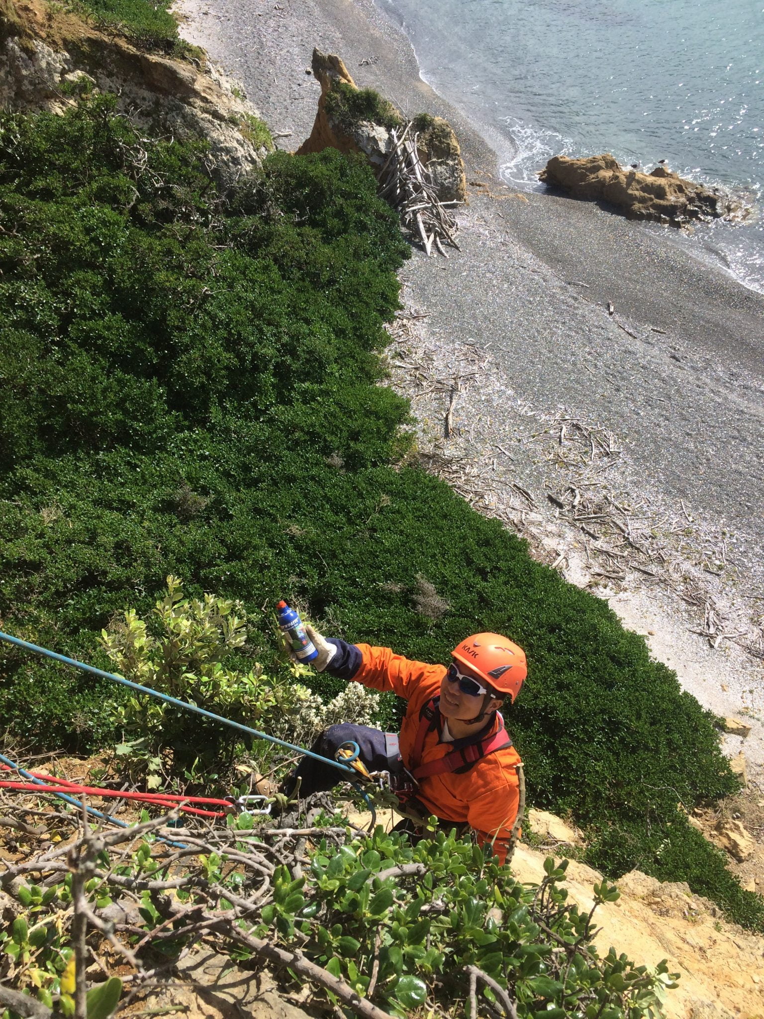 Cut'n'Paste Weed Gel abseiling