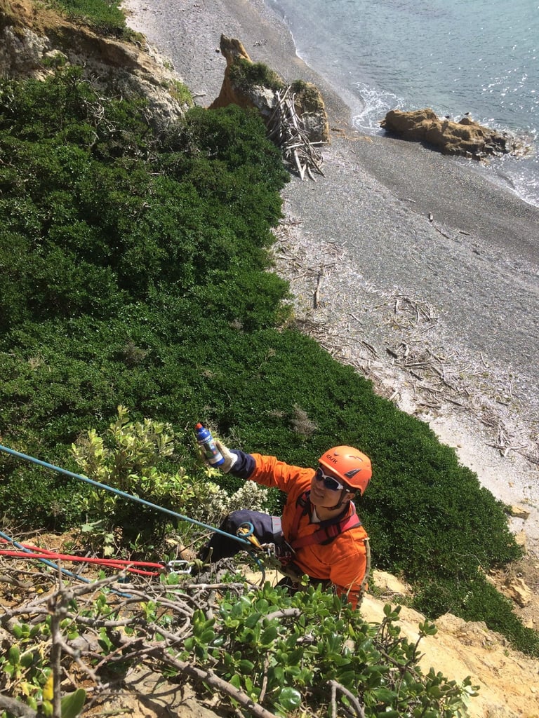 Cut'n'Paste Weed Gel abseiling