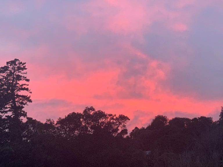 Waiheke Island sunset