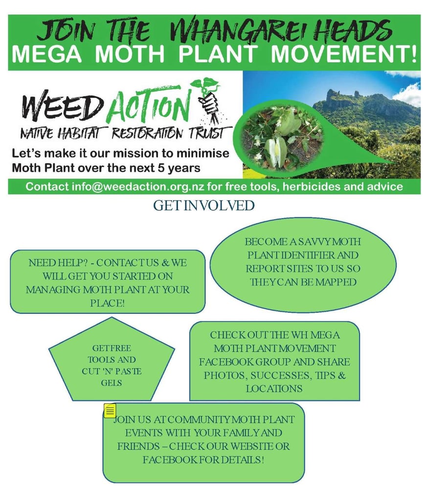 Moth Plant