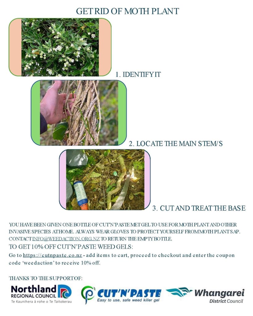 Moth Plant