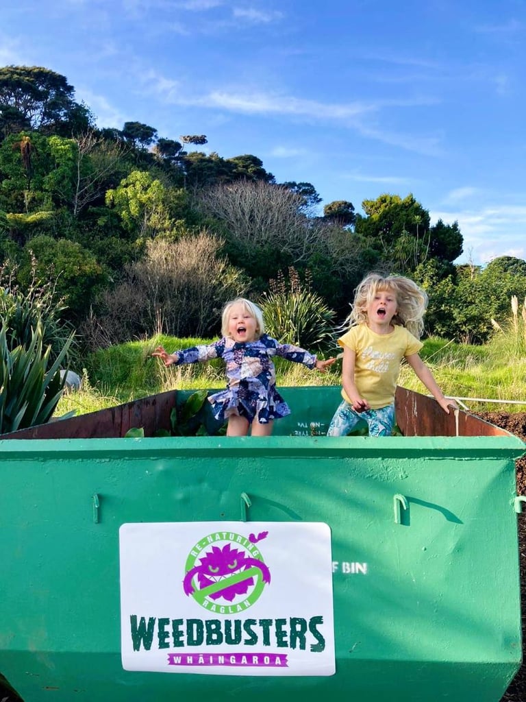 Whaingaroa weedbusters volunteer group