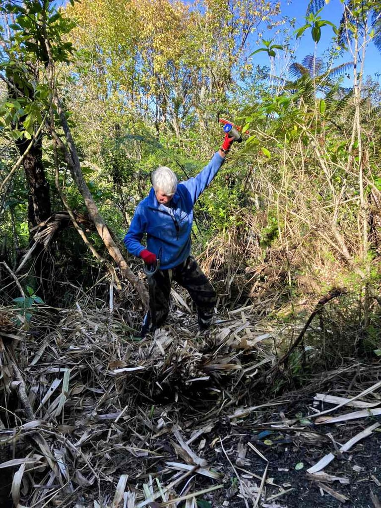 Whaingaroa weedbusters volunteer group
