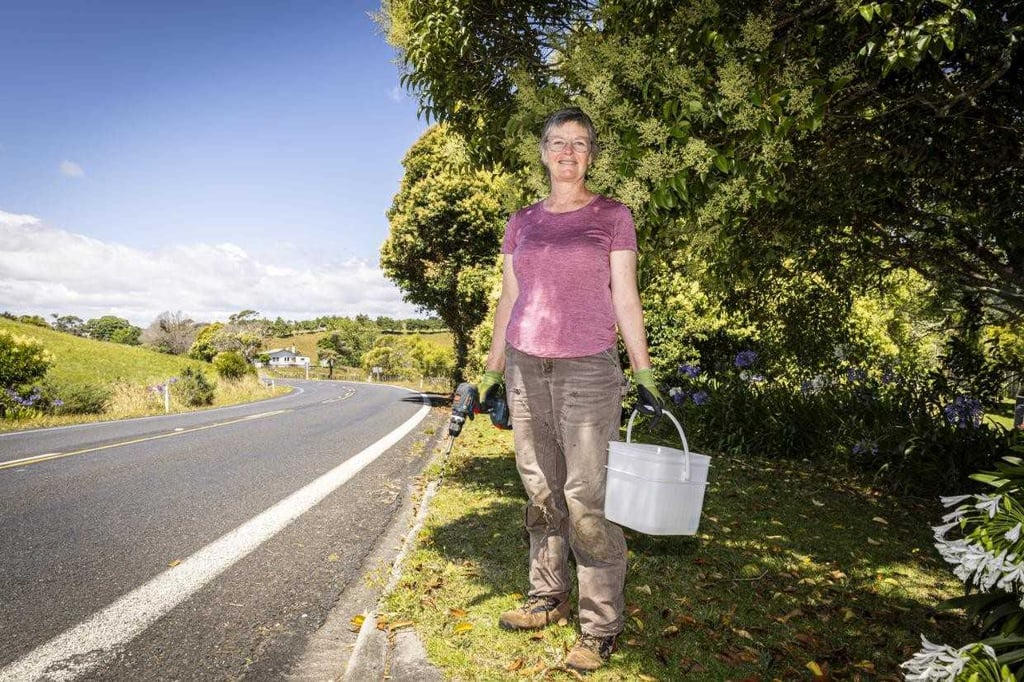 Whaingaroa weedbusters volunteer group