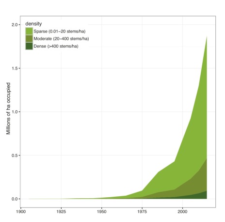 Growth of wilding pines in New Zealand since 1990 (image courtesy of MPI)