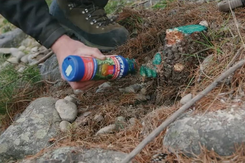 cutnpaste bamboo buster used on a pine tree
