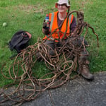 A woman wearing a high-vis vest and sun hat sitting on the grass holding a bottle of weed gel next to a large pile of pulled thick vines and roots.