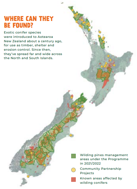 Wilding conifers spread across nz
