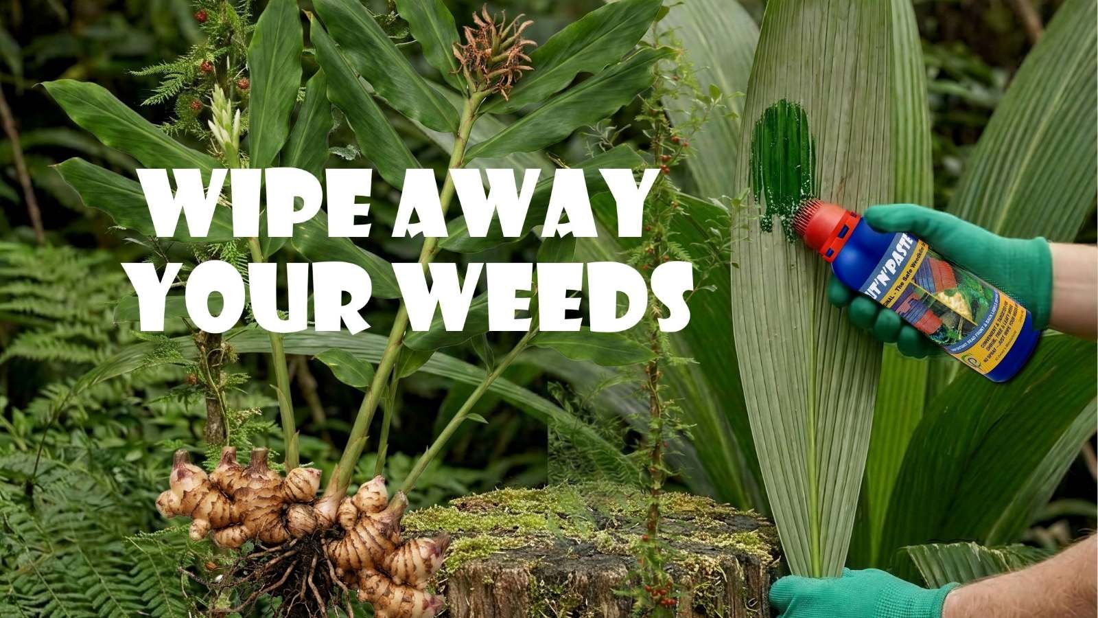 a person using a weed gel on Palm Grass
