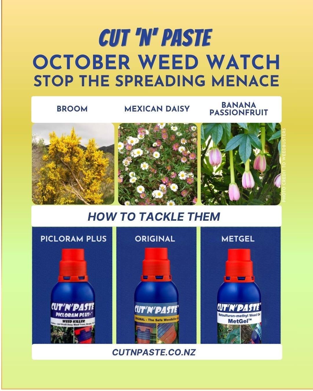 October Weed Watch Image
