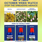 October Weed Watch Image