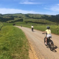 Waiheke-Eastern-End-Bike-Ride
