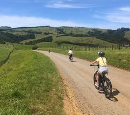 Waiheke-Eastern-End-Bike-Ride