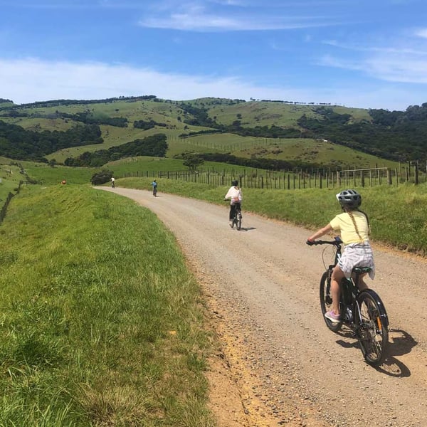 Waiheke-Eastern-End-Bike-Ride