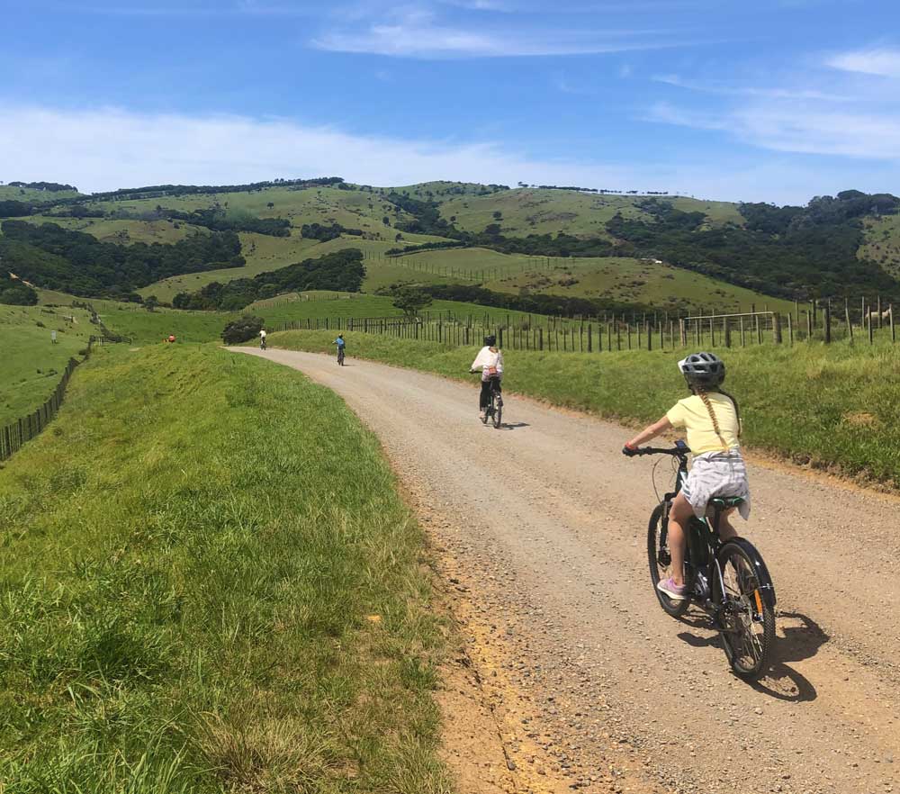 Waiheke-Eastern-End-Bike-Ride