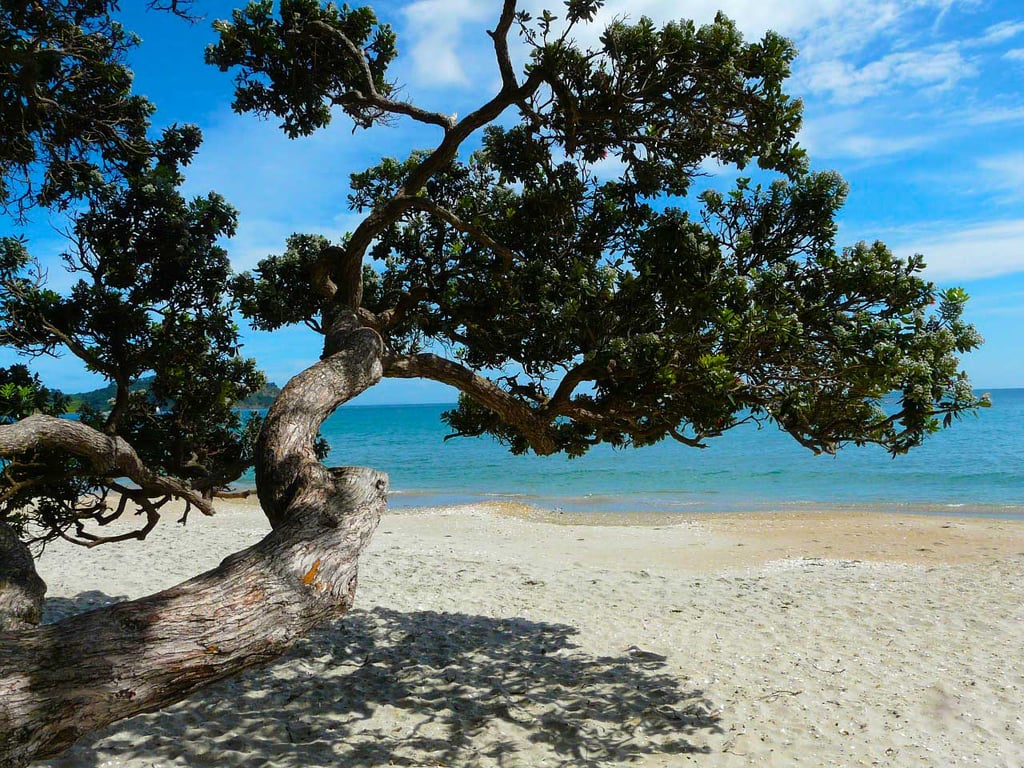 Waiheke-Onetangi-Beach