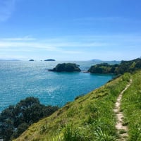 Waiheke-walking-tracks